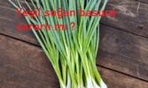 Yeşil soğan basura zararlı mı ?