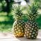 Ananas sindirim sistemi için yararlı olabilir mi?