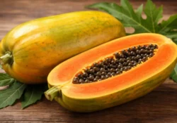 Papaya sindirim sistemi için faydalı olabilir mi?