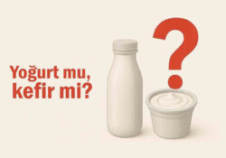 Yoğurt ve kefir sindirim sistemi için neden sık öneriliyor?