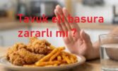 Tavuk eti basura zararlı mı ?